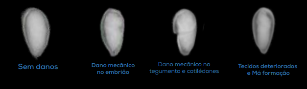 Resultados precisos